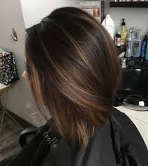 17 Ideas For Chocolate Brown Hair With Lowlights Brunettes Subtle Highlights Brown Bob Hair Brown Hair With Highlights Brunette Hair Color