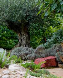 Dazu tragen auch die richtigen gartenmöbel maßgeblich bei. Mediterraner Garten Terza Natura Gartenjuweliere
