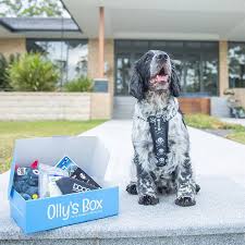 Free shipping on orders over $25 shipped by amazon. Olly S Box Australia Dog Toys Treats Accessories Every Month