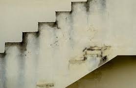 Pourtant, avant de se lancer dans les travaux de peinture, il est important de suivre certaines étapes. Degats Des Eaux Et Infiltrations En Facade Sources Et Solutions