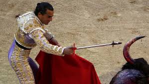 Image result for ivan fandiño