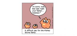 Flomax For Ureteral Stones Sinaiem