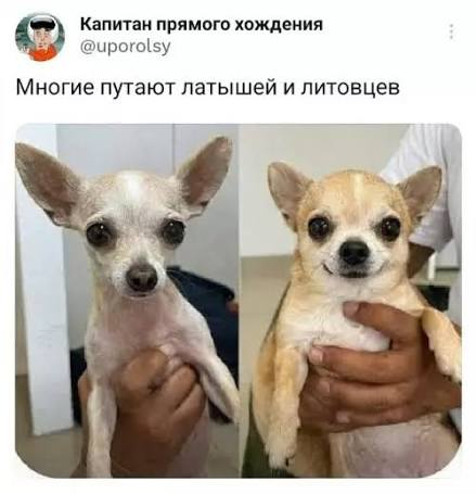 https://encrypted-tbn0.gstatic.com/images?q=tbn:ANd9GcRIGXgGbZ_2eQqy5ZnY9uJC5anGX_0Lz-DQIAXy8xZcVw&amp;s=10