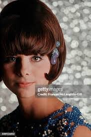 Anne Rubin's Instagram, Twitter & Facebook