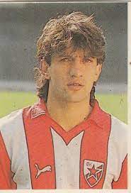 Pin On Refik Sabanadzovic