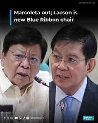 Reasons why senator is qualified to lead committee