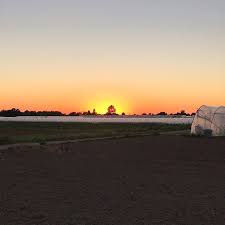 Don T Let The Sun Set On Your Anger Sunset Sun Sky Colorful Beautiful Nature Tree Photography Summer Picoftheday Love Sunset Sun Sky Colorful Beautiful Nature Nature Tree Tree Photography Nature