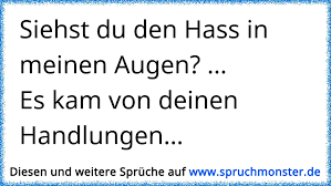 Siehst Du Den Hass In Meinen Augen Es Kam Von Deinen Handlungen Spruchmonster De