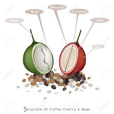 Every 200 points earns you a free beverage. Pin On Grafika Steblo