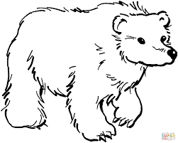 Braunbaer Ausmalbilder Ausmalbilder Braunbaer Ausmalbilder Tiere Ausmalbilder Ausmalen
