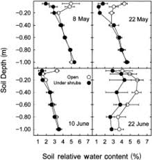 Image result for Disa cryptantha