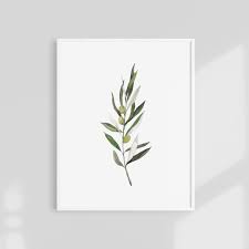 Olive Print Olive Branch Print Olive Watercolor Botanical Etsy Olive Branch Art Botanical Wall Art Olive Branch