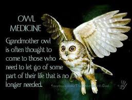 Animal Spirit Guide Owl Balancedwomensblog Com Owl Spirit Animal Owl Medicine Animal Spirit Guides