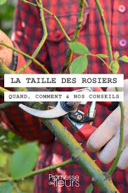 Dans cette vidéo, hubert fontaine nous explique comment tailler un pommier de plein vent au cœur de l'hiver. La Taille Des Rosiers Comment Faire Explications Et Conseils