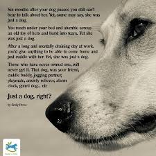 I Can Say The Same About All My Beloved Pets Waiting For Me On The Rainbow Bridge So True Dog Poems Pet Remembrance Dog Quotes