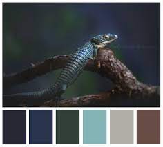 Pin On Color Me Happy Personal Swatches