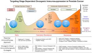 Use the menu to see other pages. Ijms Free Full Text Overcoming Oncogenic Mediated Tumor Immunity In Prostate Cancer Html