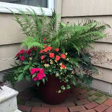 How To Design And Plant A Container Successfully Container Gardening Flowers Container Flowers Container Gardening