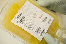 Image result for Plasma Transfusion
