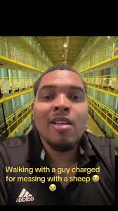 Guy Talking to Sheep