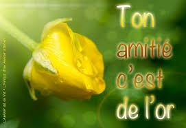 ᐅ 35 Amiti&eacute; images, photos et illustrations pour facebook - BonnesImages