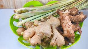 Kapur barus juga dapat dibuat secara sintetis dari terpentin. Awet Sampe Setahun Cara Menyimpan Serai Laos Jahe Yg Paling Gampang Youtube