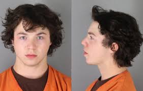 CHARGES: 19-year-old Driver Fatally Strikes Pedestrian, Dog in Plymouth —  MNCRIME.com