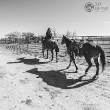 Browse cavender's to find professional cowgirl shirts for work and rodeos, plus casual tops and dressy blouses that are perfect for weekends and nights on the town. Dale Brisby Dalebrisby Twitter