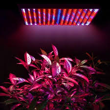 Check spelling or type a new query. 45w Led Plants Grow Light 225 Blue Red Orange White Grow Lights For Plants Cheap Grow Lights Led Grow Lights