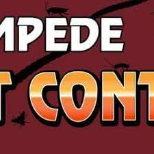 Green pest control is the main irritation control specialist organization in india. Pest Control In Gardnerville Yelp