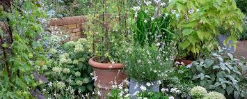 In garden areas adjacent to brushland and wild spaces, august is a good time to reduce your fuel to help prevent and suppress brush fires. August In The Garden Gardening To Do List Sarah Raven