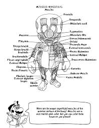 Mario Muscles Anatomy Coloring Book Coloring Books Coloring Pages