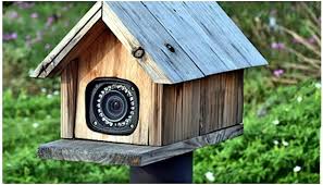 Jojo Post How To Hide The Outdoor Security Camera Securitycameras Homesecuritysystems Homesecuri Home Security Systems Home Security Outdoor Security Camera