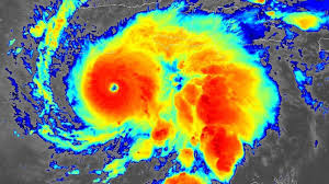 Image result for Melissa