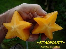 Image result for Averrhoa carambola