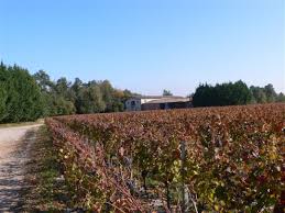 Chateaucantelys Un Excellent Pessacleognan Appartenant Aux Proprietaires Du Chateausmith Bordeaux Graves Wine Vins En 2020 Chateau Vin Sauvignon