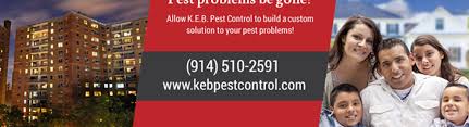 I called brian from a+ pest control and he came out the same day. K E B Pest Control Llc Yonkers Ny Alignable