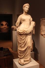 Image result for Terpsichore cultrata