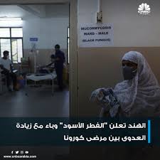 Mucormycosis, a subtype of a larger category of diseases known as zygomycoses, is an aggressive opportunistic infection which tends to show a proclivity for, among other sites (namely the lungs and gastrointestinal tract). Vaym6jkac0eidm