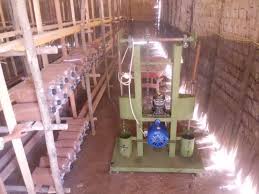 Di pasaran peminat jamur tiram semakin meningkat, sehingga budidaya jamur tiram ini menjadi peluang bisnis yang cukup menjanjikan. Cara Budidaya Jamur Tiram Sederhana Di Lahan Sempit Kissparry