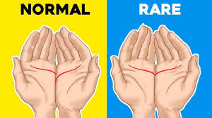 These lines appear right above the heart line and are usually a straight line. Here Is How Can Palm Reading Predict Marriage
