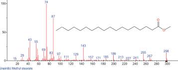 Image result for Melastomastrum capitatum