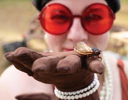 INDY Week June 12, 2024 by Indy Week