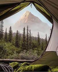Room With A View Pc Walasavagephoto Find More At Https Takemecamping Org Takemecamping Camping Campsite Camping Photography Camping Aesthetic Outdoor