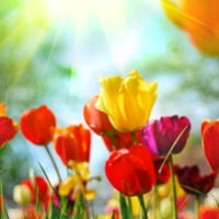 Tribute for Maria-Elena Llamas