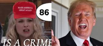 Political opinions and reactions in a Facebook group