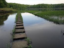 The trail provides for numerous opportunities for viewing wildlife in lbl. Hematite Lake Trail Land Between The Lakes Guide