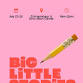 Big Little Stories Camp