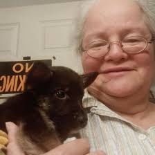 MISSING: Have you seen Leah? Officers are urgently appealing for help to  trace missing 14-year-old Leah Begley-Bolsover from Durham. Leah was last  seen at around 5.10pm