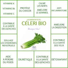 Les Bienfaits Du Celeri Le Celeri Le Monde S Eveille Grace A Nous Tous Sante Sante Bien Etre Aliments Bons Pour La Sante